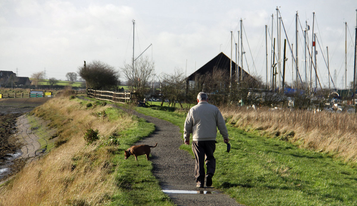 dog walkers by the river Crouch