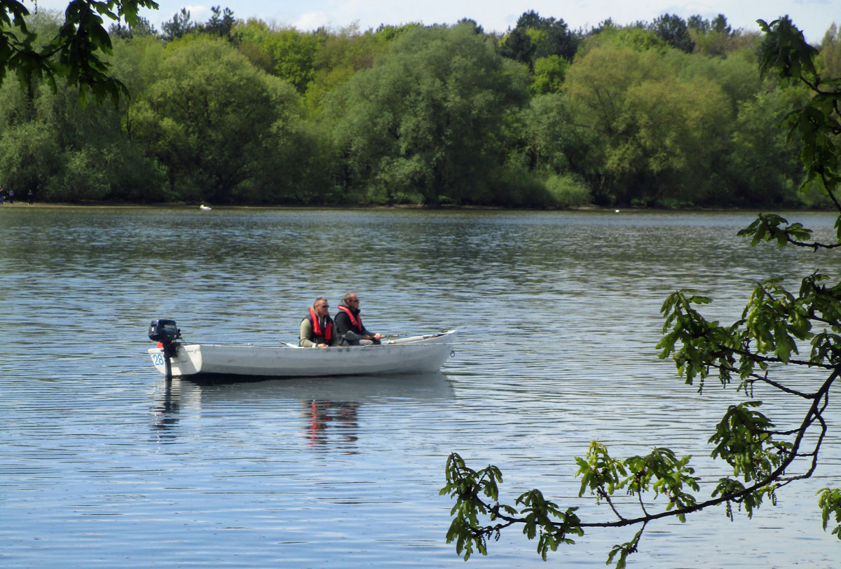 fishing near south woodham ferrers