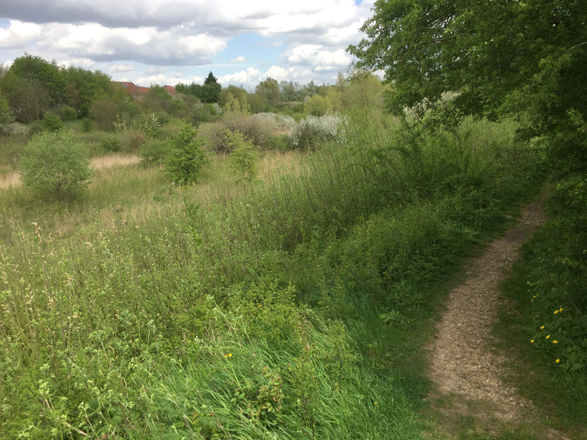 Walk around the perimeter of the flood plain