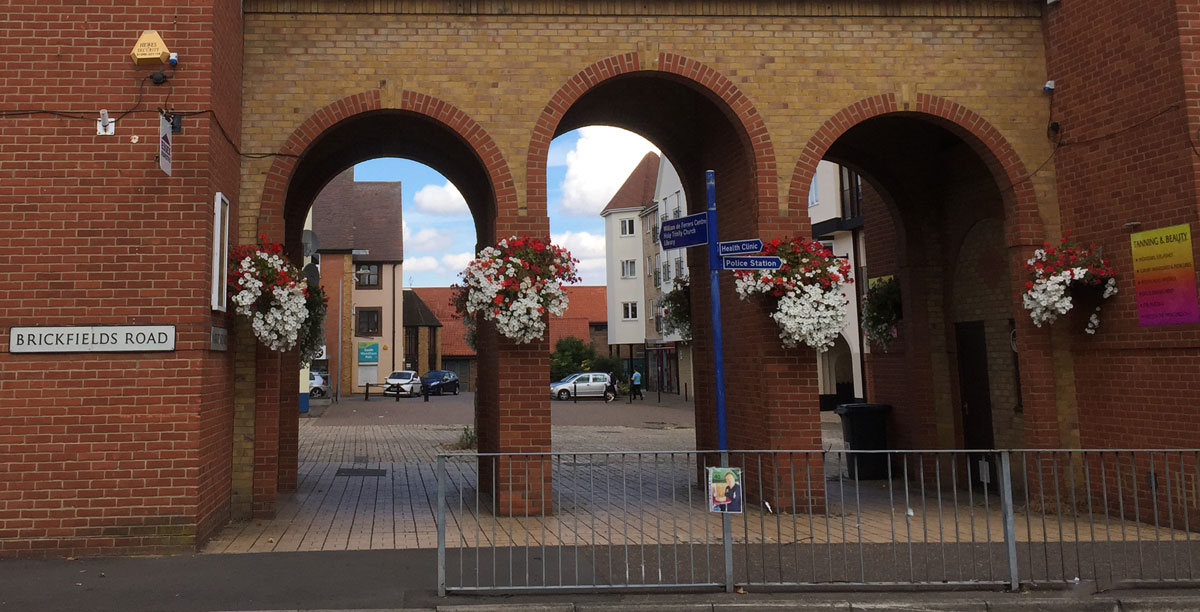 Hanging baskets in south woodham Ferrers