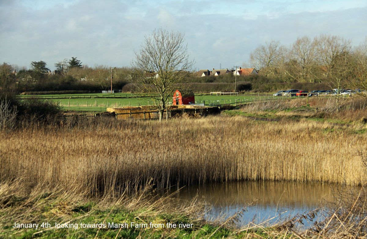 January in south woodham Ferrers