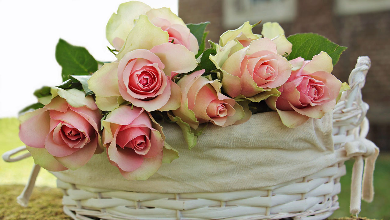 Mother's day Flowers South Woodham Ferrers