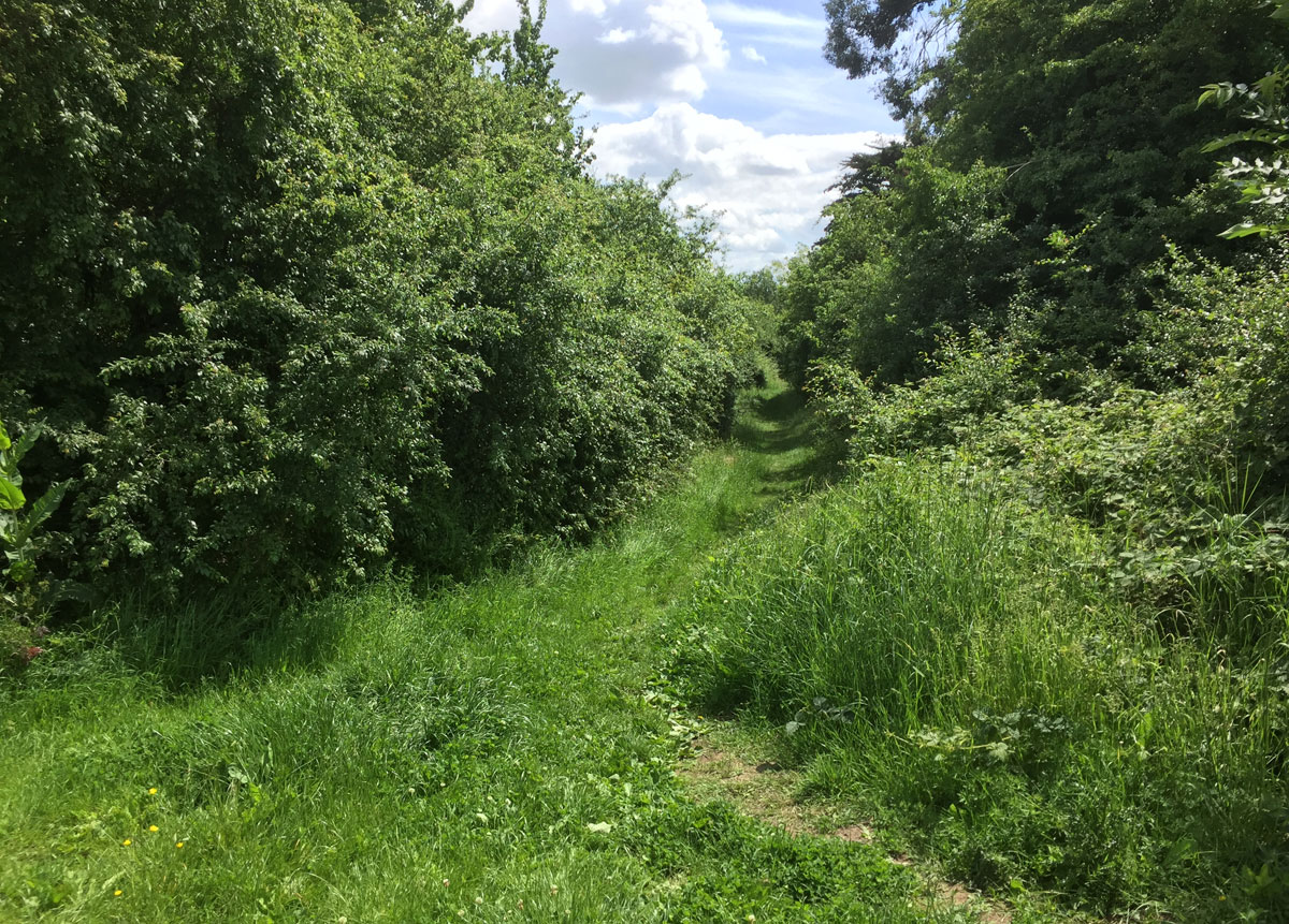 narrow path from Creekview road to Marsh Farm