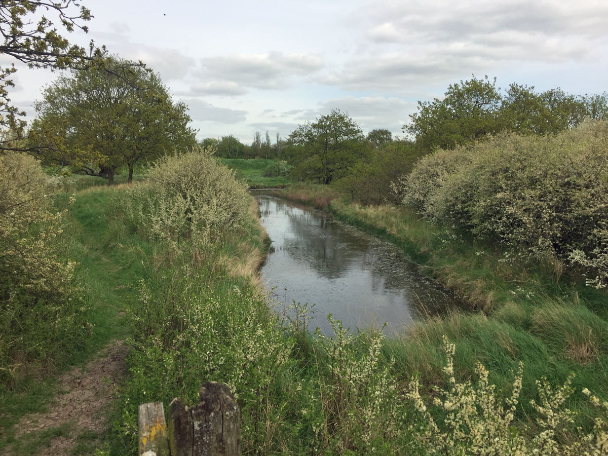 ponds south woodham ferrers nature reserve