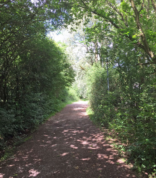 circular walk past scout huts